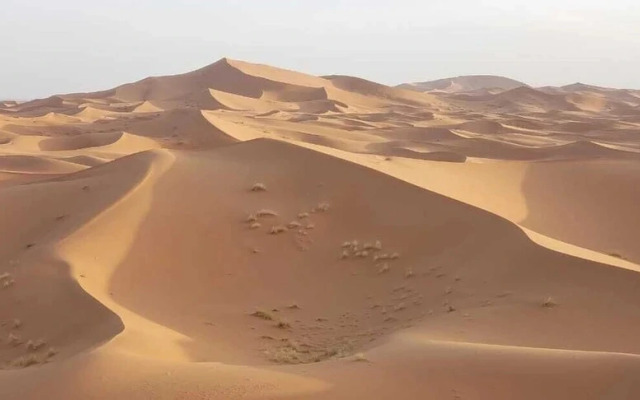 Barak Desert Camp