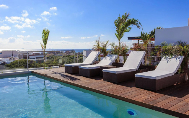 Areca By Playa Moments