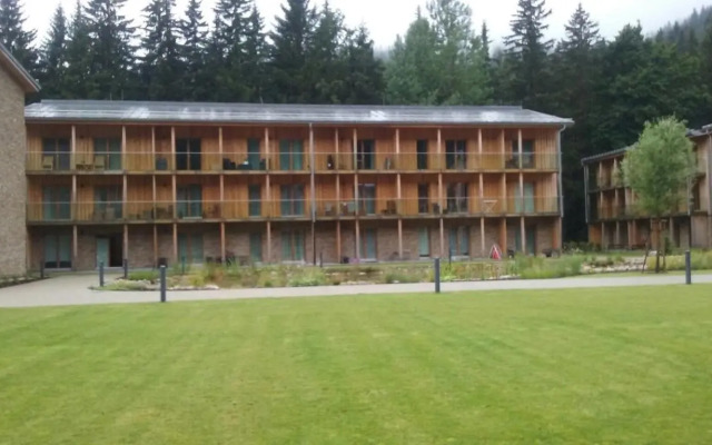 Medvedin Apartman 106