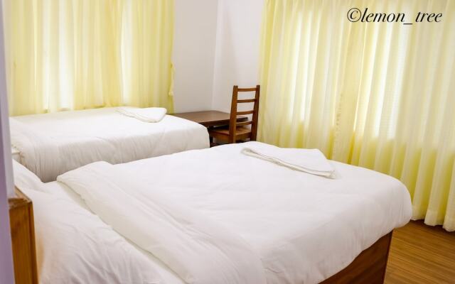 Lemon Tree Apartment and Homestay
