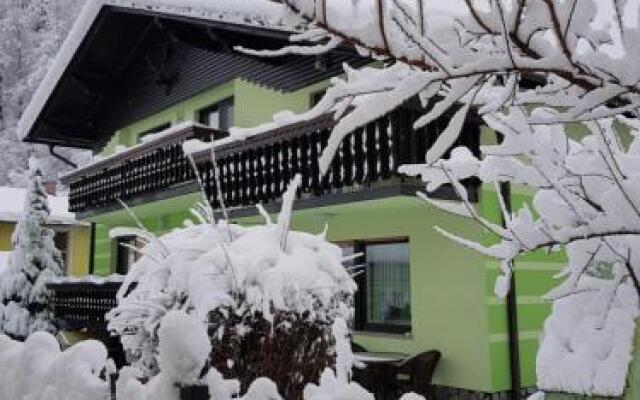 Zeleni apartma Zreče