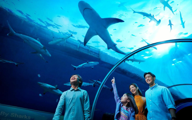 Resorts World Sentosa - Equarius Hotel