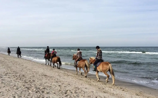Holiday House Dune Forest b