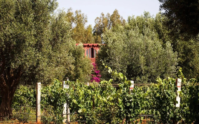 Ryad des Vignes