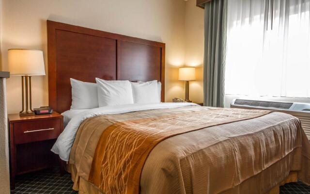 Comfort Inn & Suites Oakland