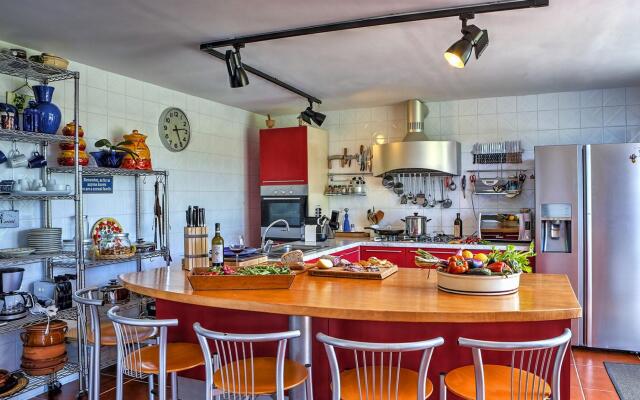 Rm-c767-gmat0at - Lanuvium 10