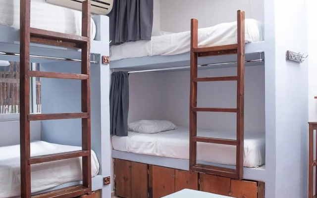 Mapache Hostel & Camping