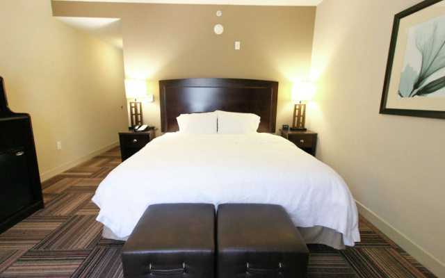 Hampton Inn & Suites by Hilton Flowery Branch Lake Lanier