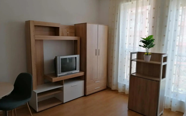 Sunny Day 6 Apartment