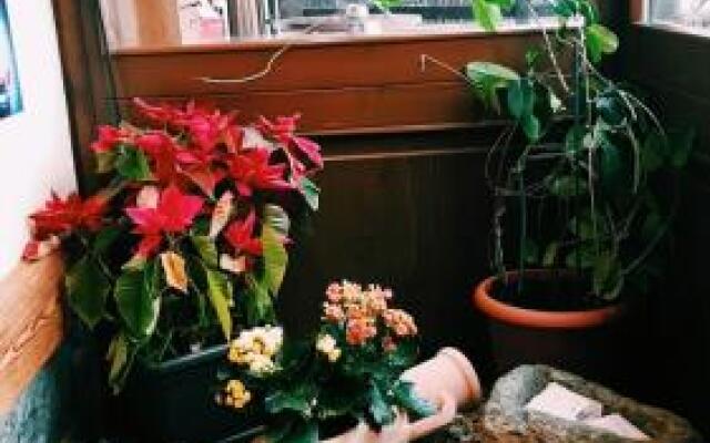 Affittacamere Genzianella