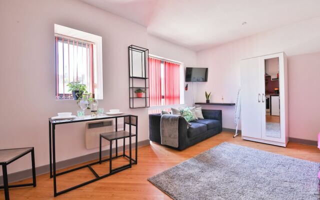 Princess Lofts Studios - Swansea City Centre