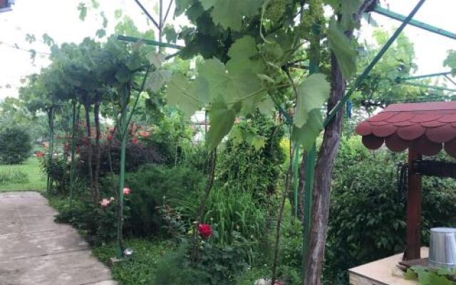 Guesthouse Planinsko Gnezdo