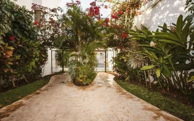 Viento Celestial by NAS