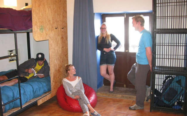 Milhouse Hostel Cusco