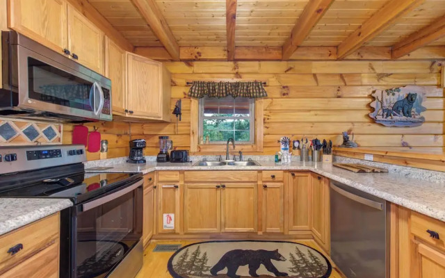 Beary Nice to Meet You!