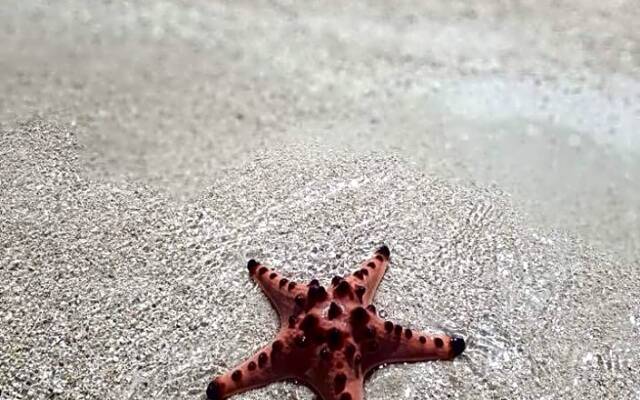 Wuthering Heights Bed & Breakfast