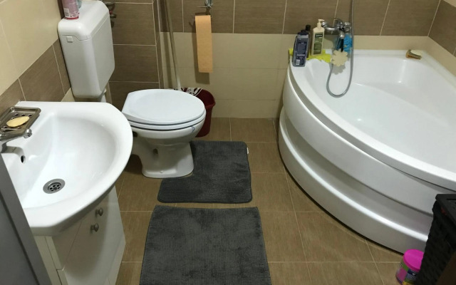 luxury apartment mihai bravu