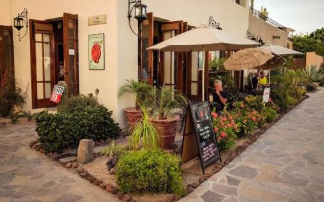 Ocean Golf & Villa Rentals