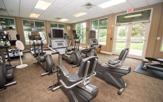 St. Maarten 1104 Silver Shells - 173097