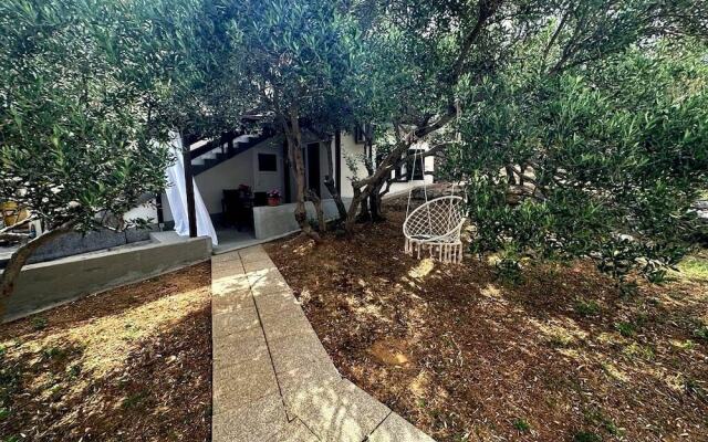 Martina - Large and Comfortable Apartments - SA2