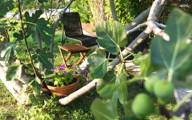 Studio Point of view