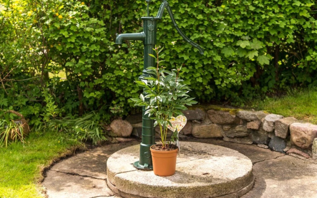 Apartment in Wohlenberg With Balcony, Garden, Bbq, Heating