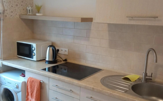 Apartments on Arkhypenka Street