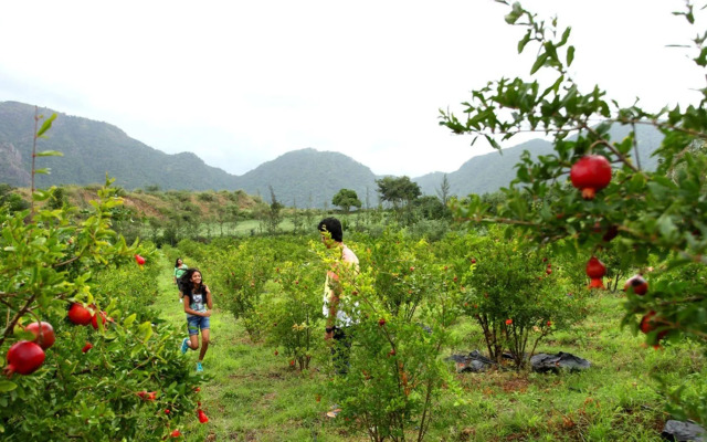 Harvest Fresh Farms