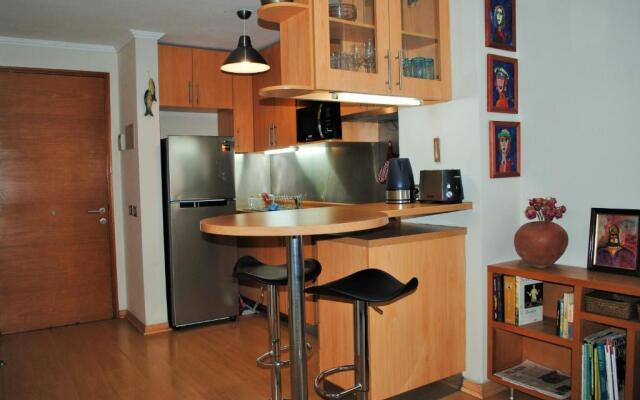 Studio Apartment En Providencia