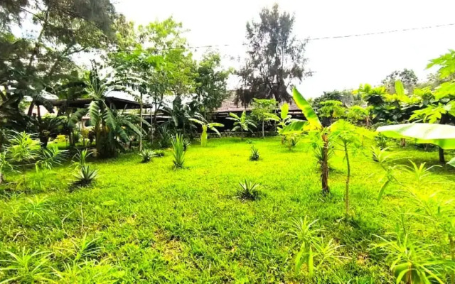 zanzllywood hotel and apartments