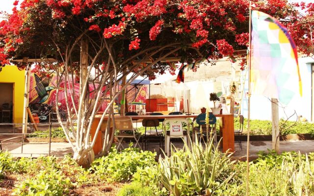 Hostel La Posada De Gallo