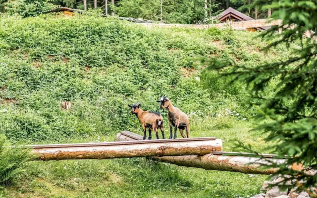 Luxurious Apartment in Jagersgrun With Saunas