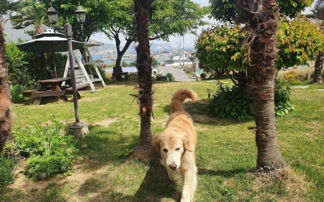Haemaru pension