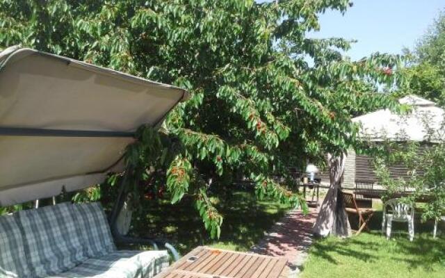 Guest House v Petrovskom