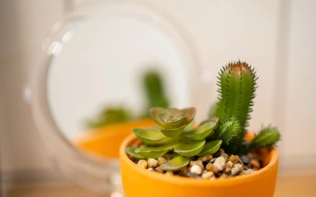 Moderne EG-Wohnung in Sudenburg mit Parkplatz, TOP Anbindung