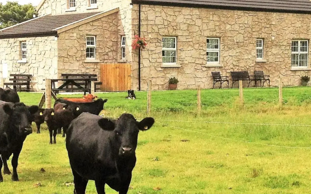 GlenHaven Holiday Accommodation