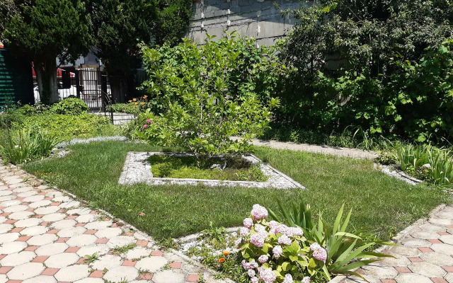 YurGa Guest House