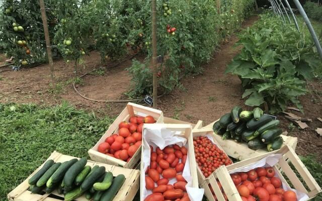 Cap France Terrou Gites