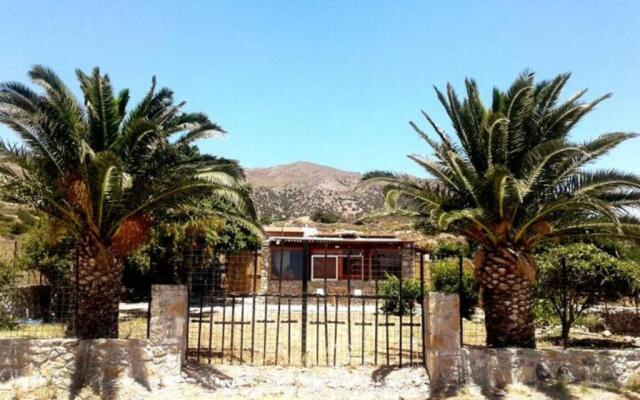 Antonis's Palm House