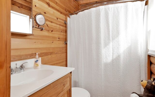 Binky's Mountain Hideaway #2455