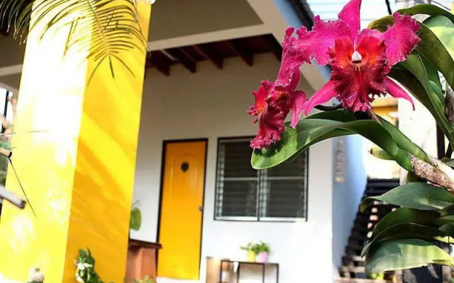 Garden Room Hostel
