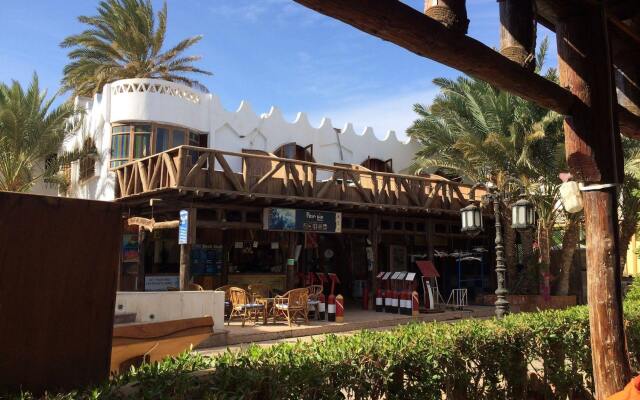 Penguin Village Dahab