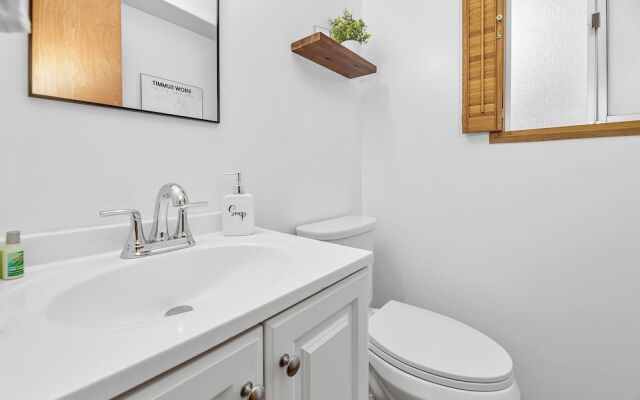 Big Bear Moose House