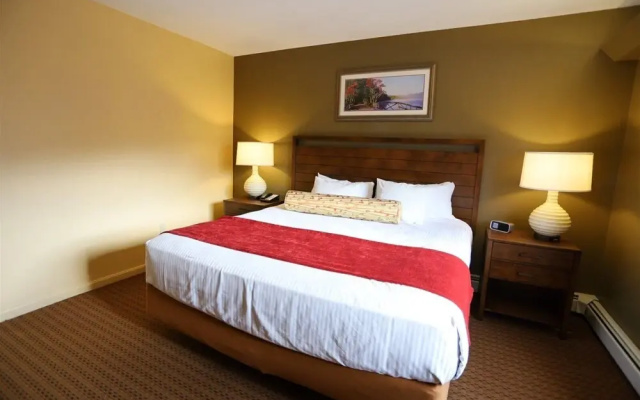 One Bedroom Pollard Brook Near Loon Mountain for February Vacation - PB Feb 12th-19th, 1mey