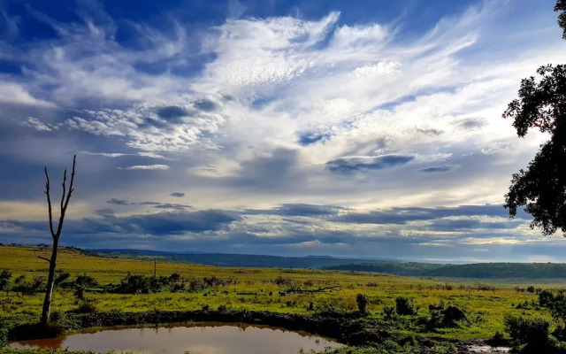 Nambiti Plains Private Game Lodge