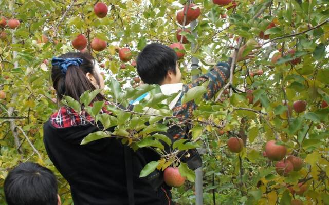 Nakasendo Ashida-Shuku Tateshina Akariya