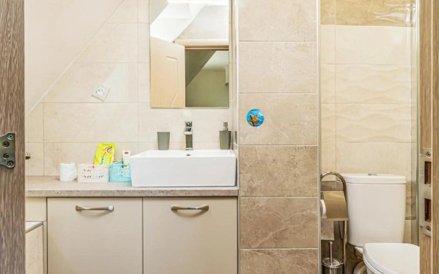 Fancy 1BD penthouse with terrace near the centre