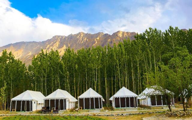 Ladakh Tarrain Camp