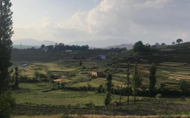 The Little House In The Ricefields