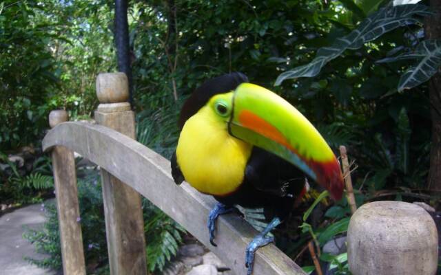 Coconut Grove Lodge